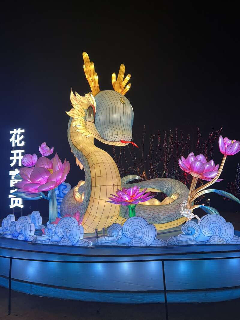 灯展｜青年眼中的中国年
